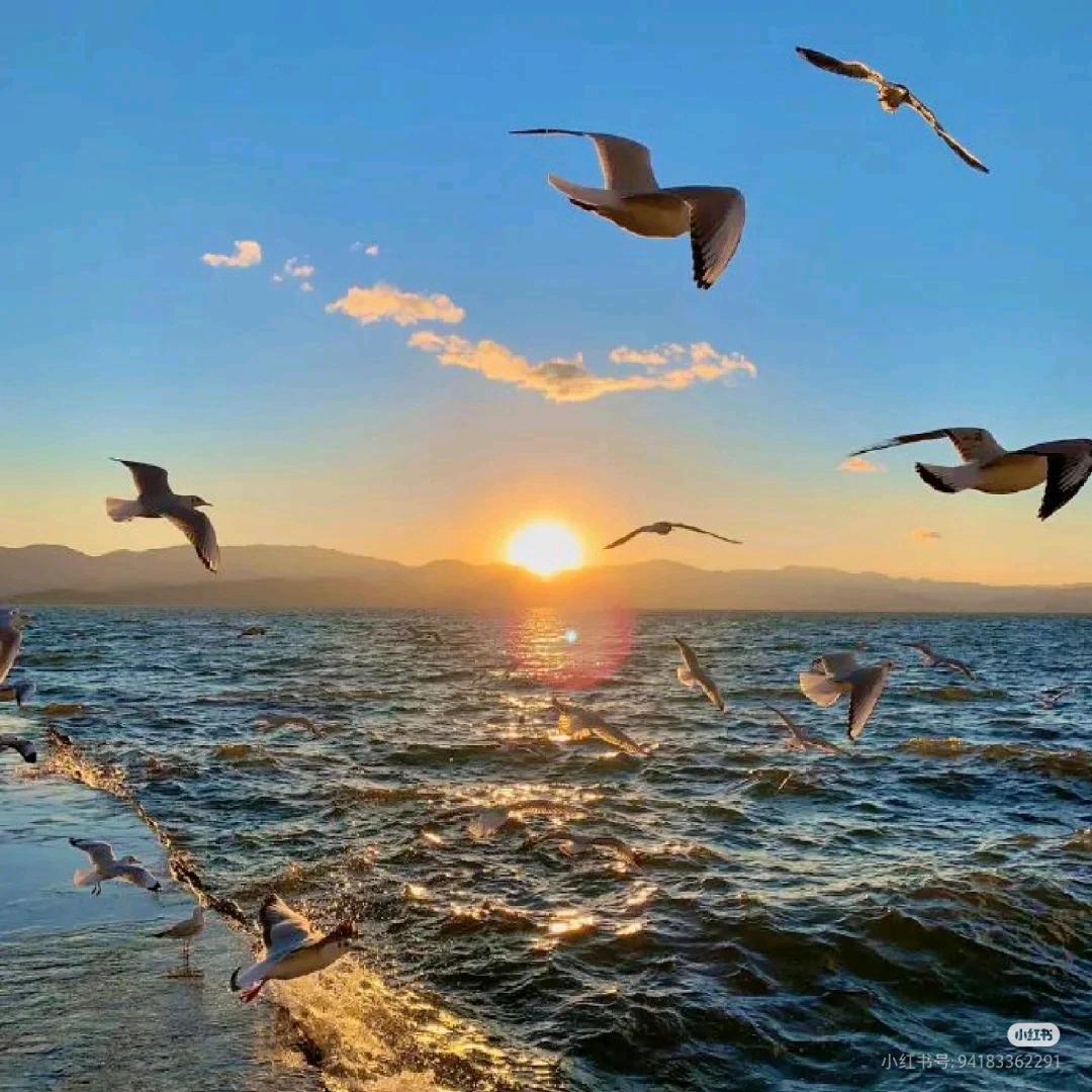 尹老师美学空间