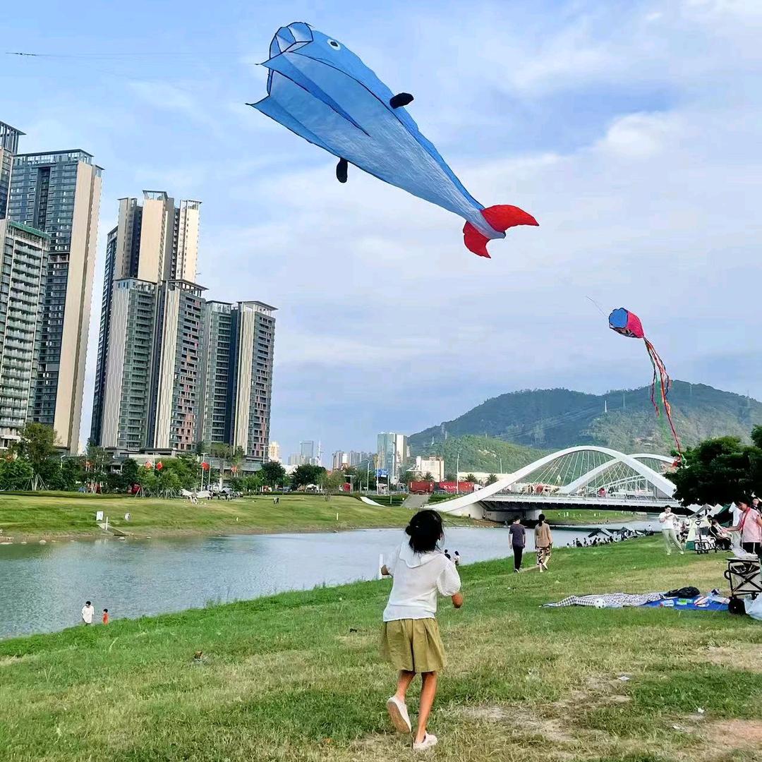 中医辩治