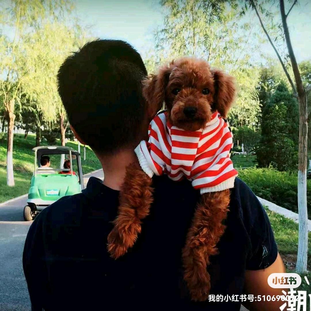 MaxLIU