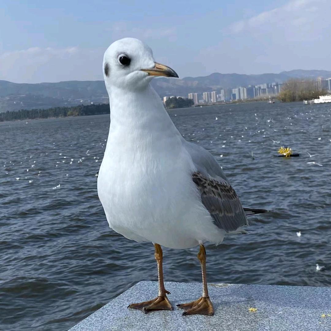 我爱泥泥