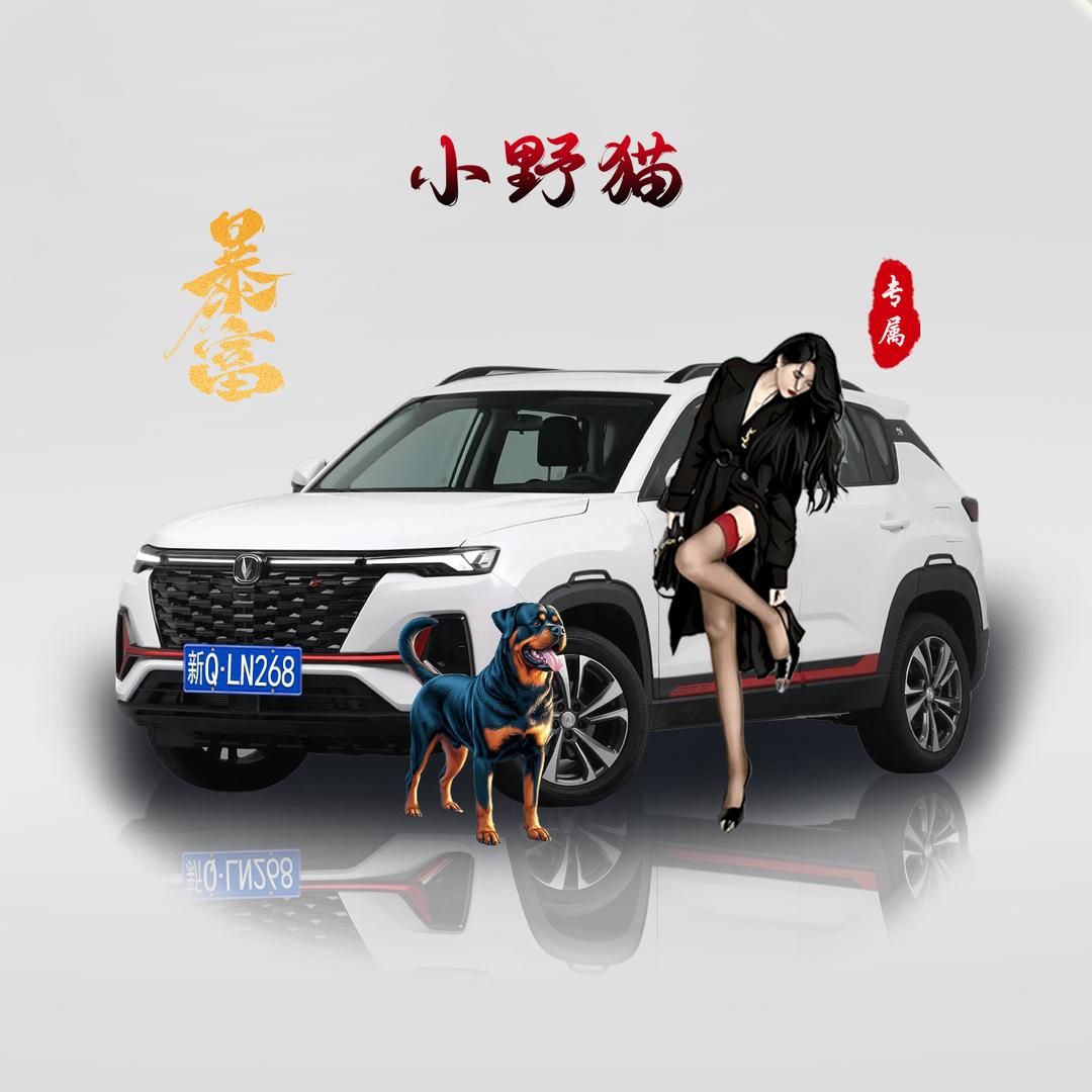 ㅤㅤ小野猫ι