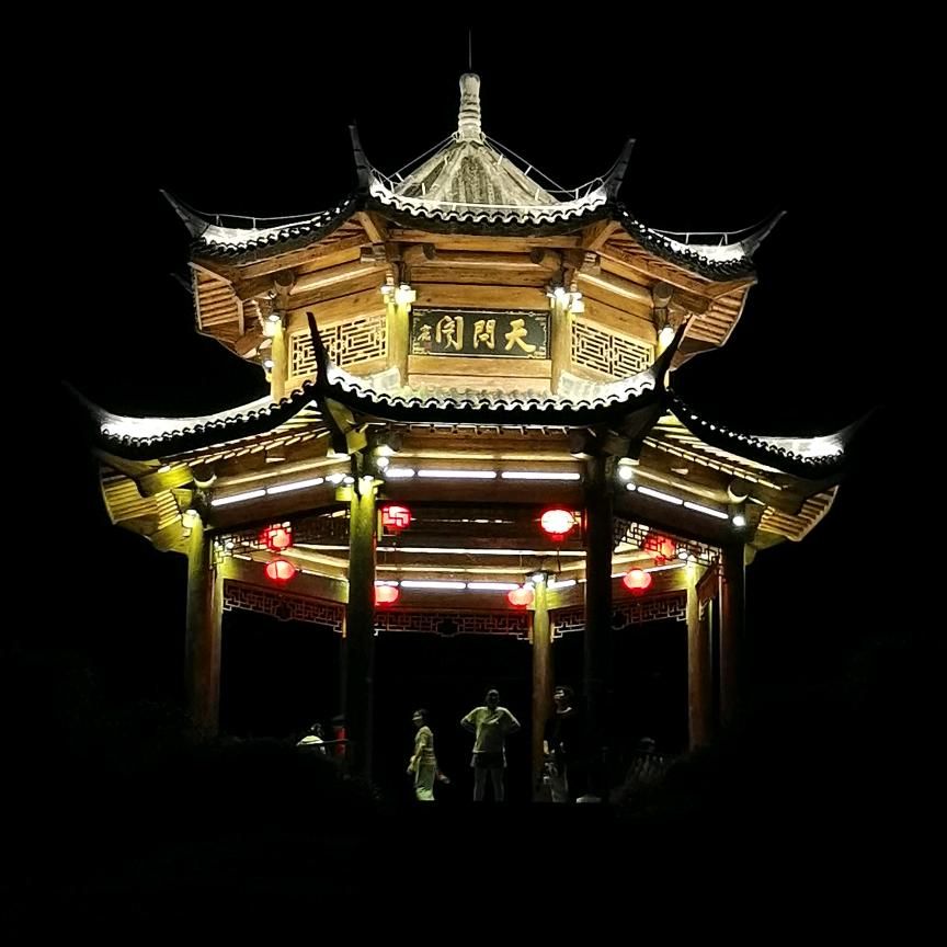 羽翼蜘蛛