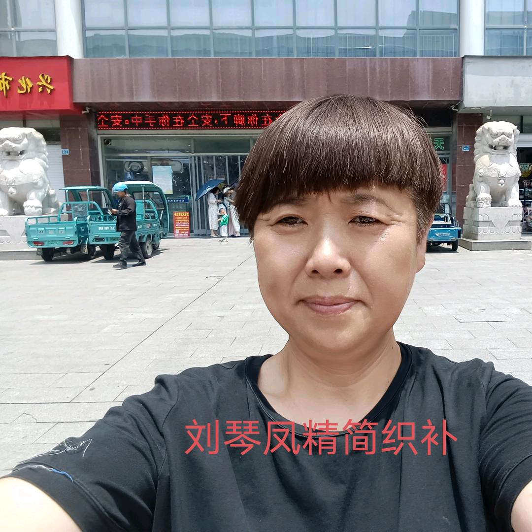 刘琴凤精简织补