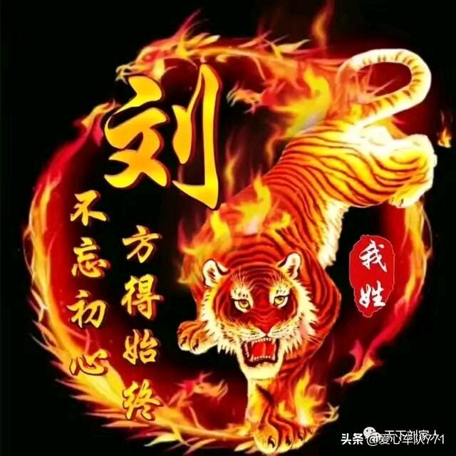 开心果🇨🇳