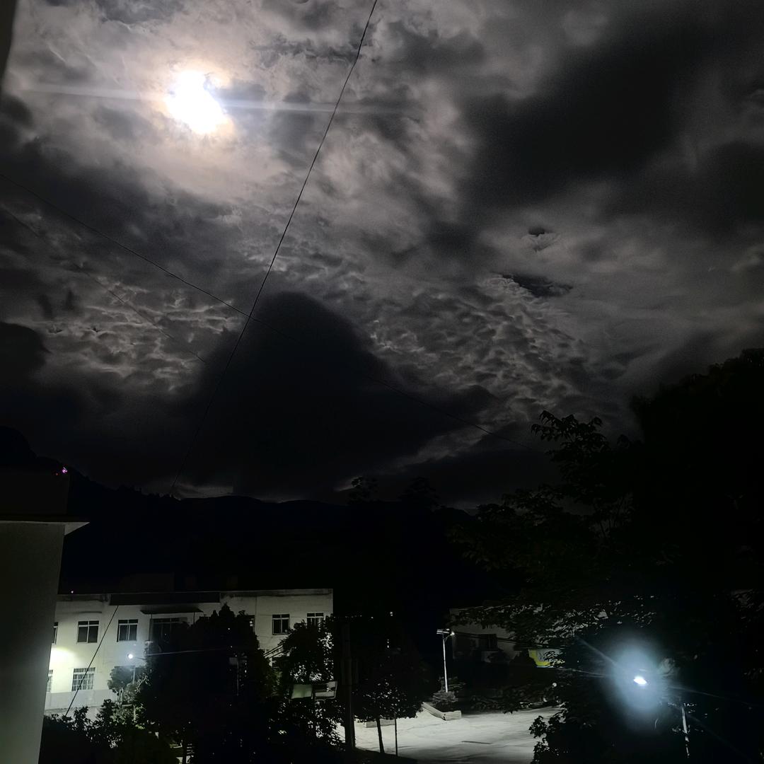 铃铛