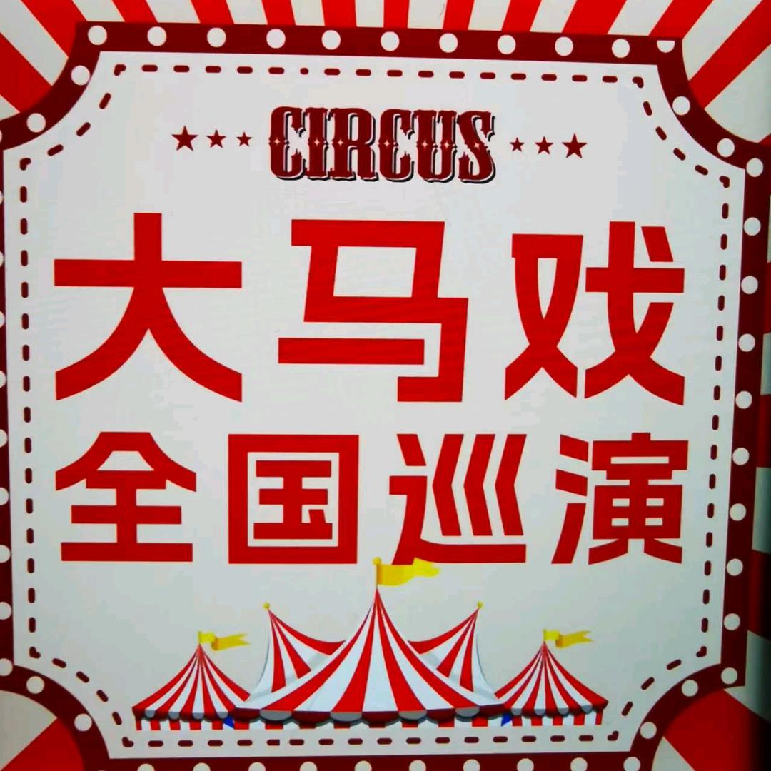 洋洋带你看马戏