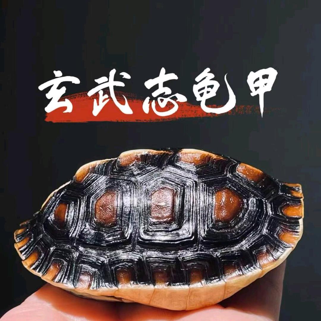 玄武志