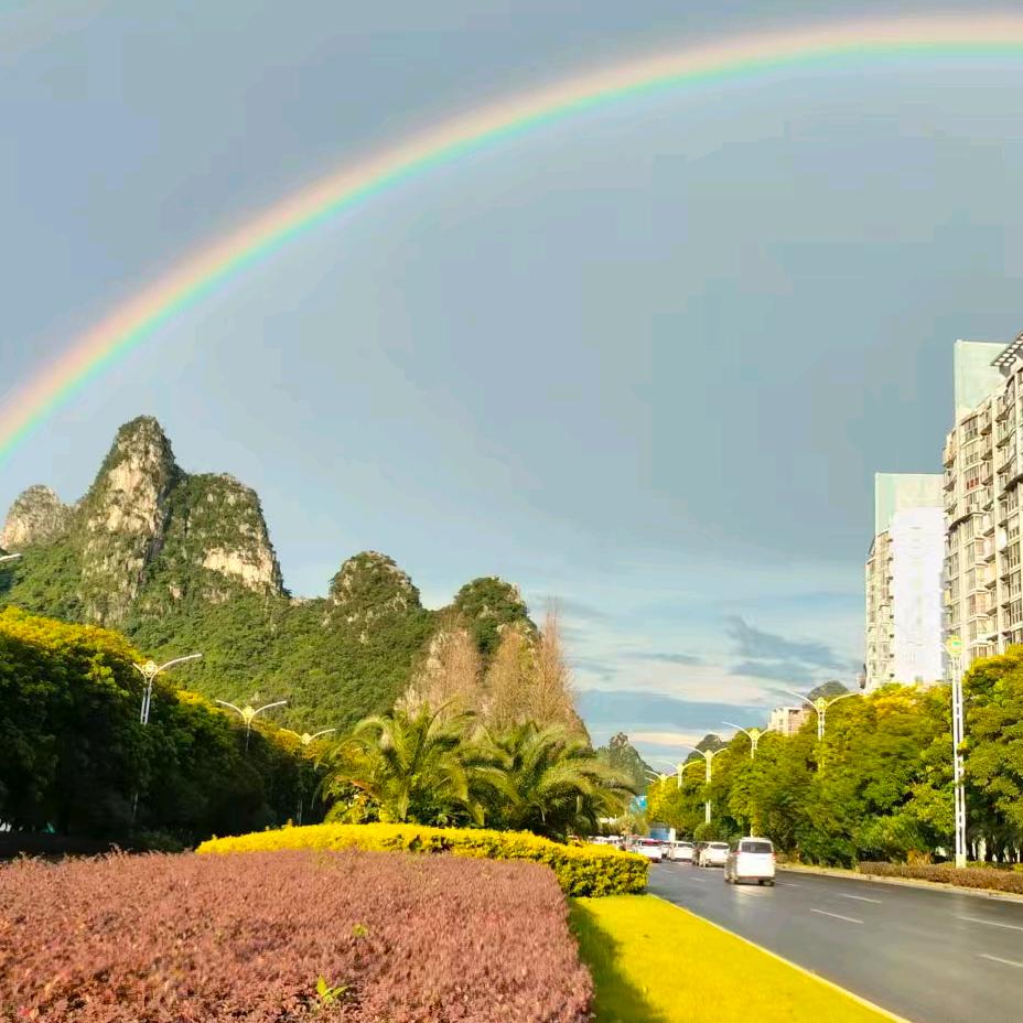 小青青