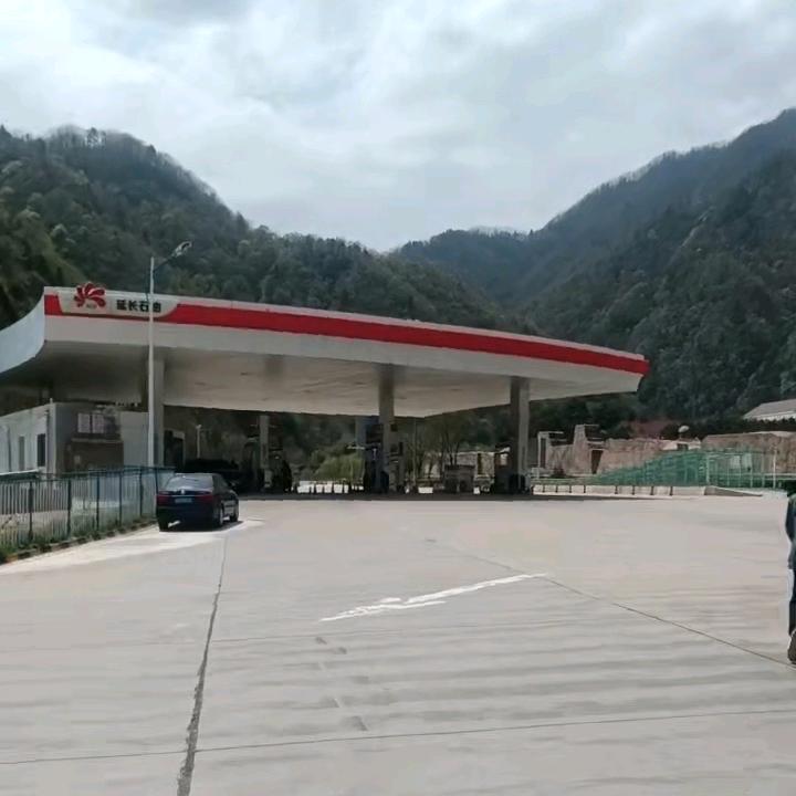 老实人！