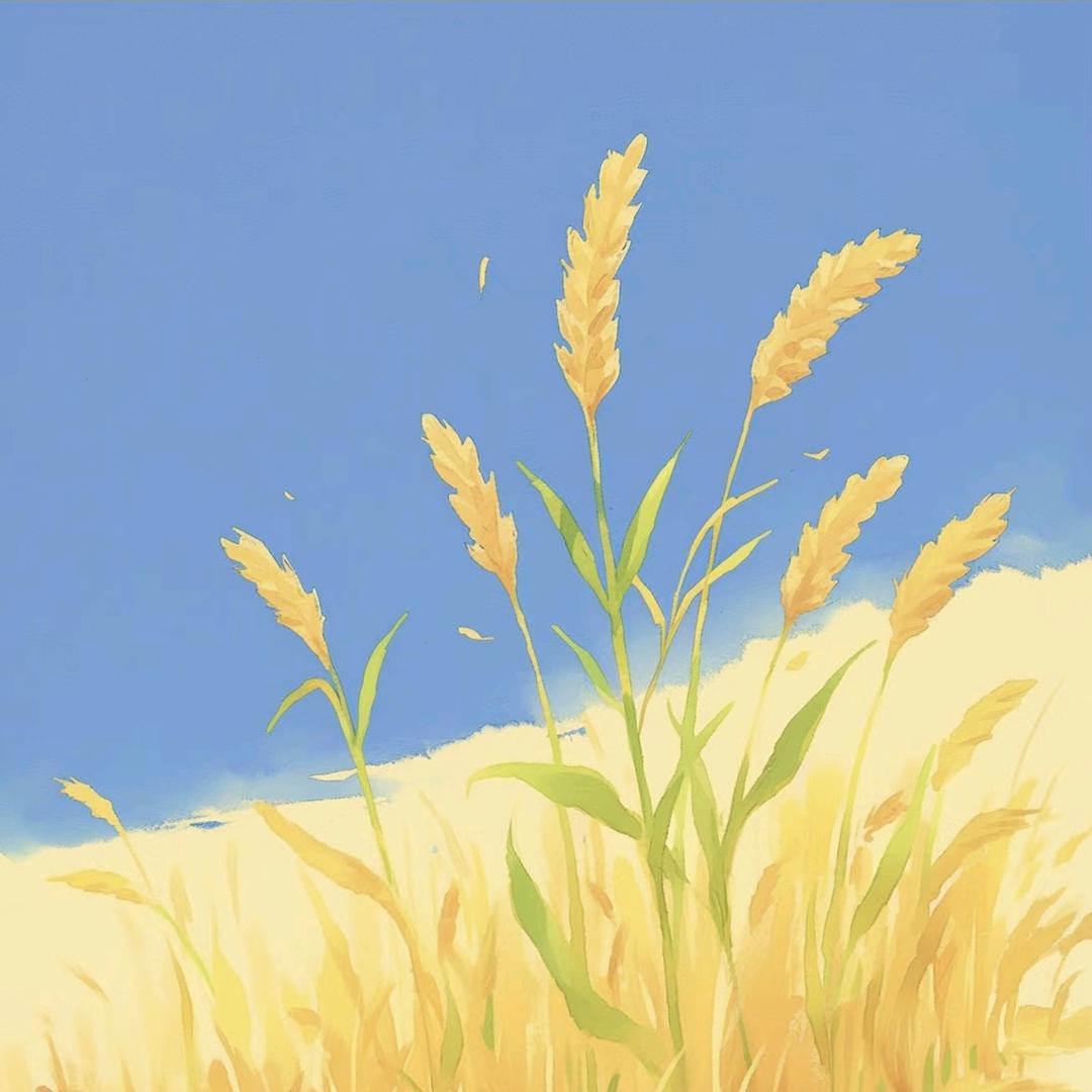 柚见晴天🌞