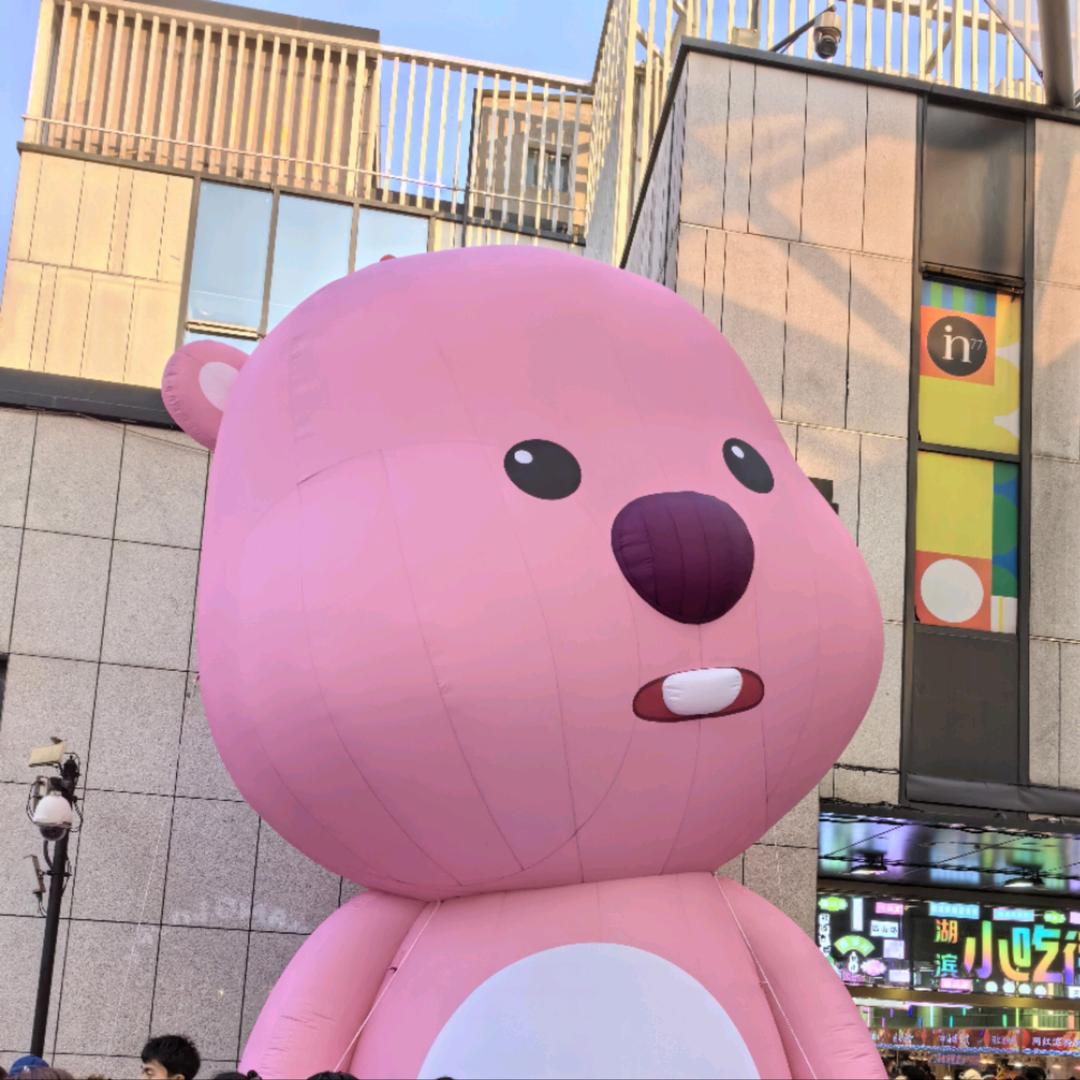 放肆的小猪🐷
