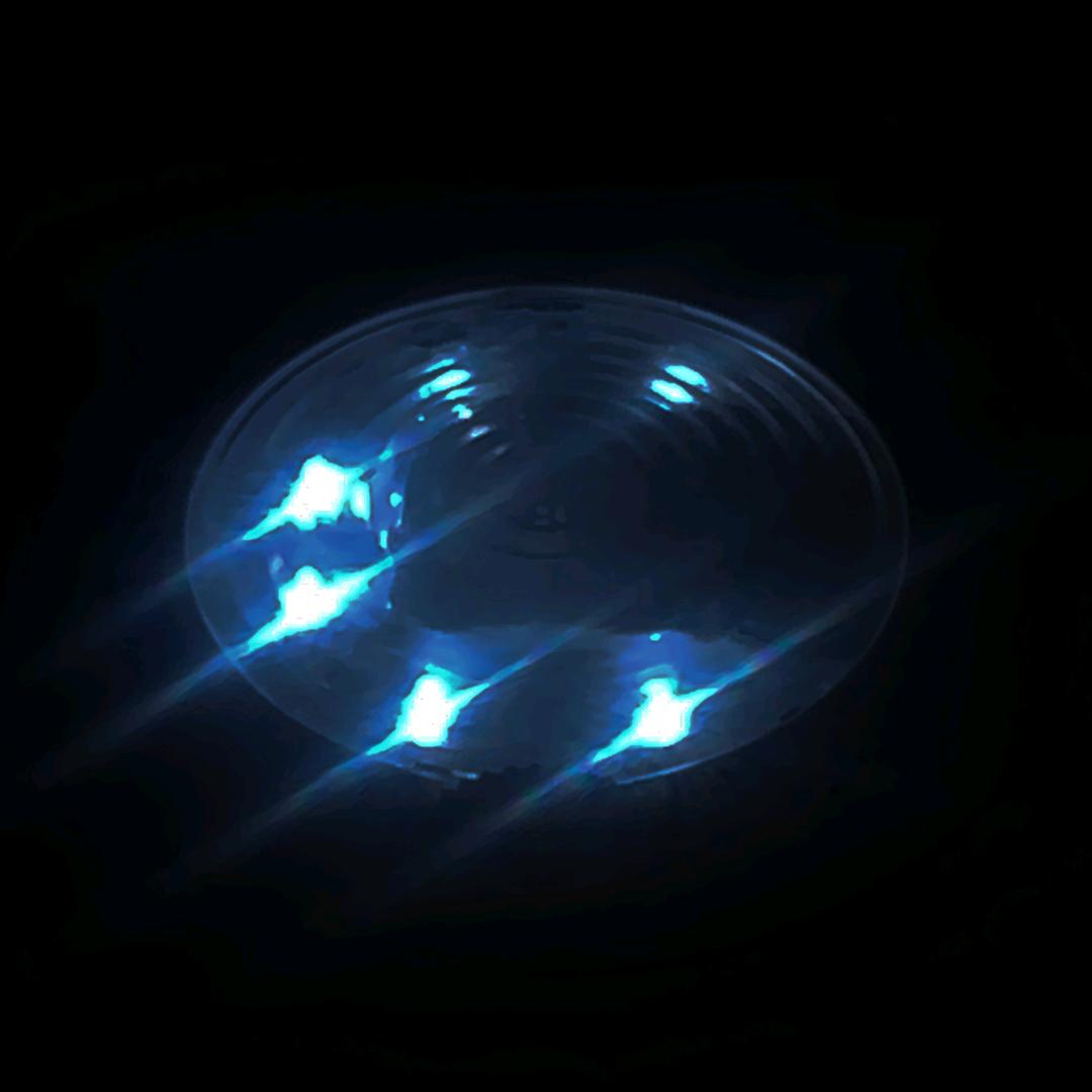 ❕️🧿