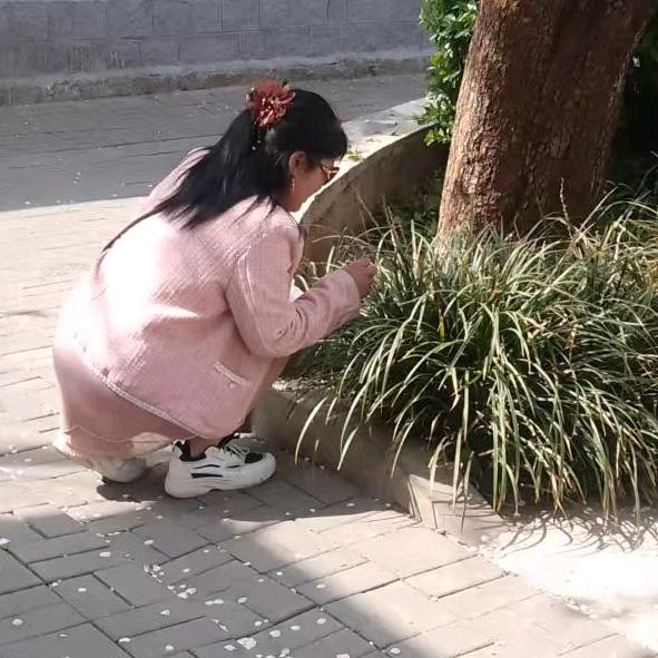 万事如意
