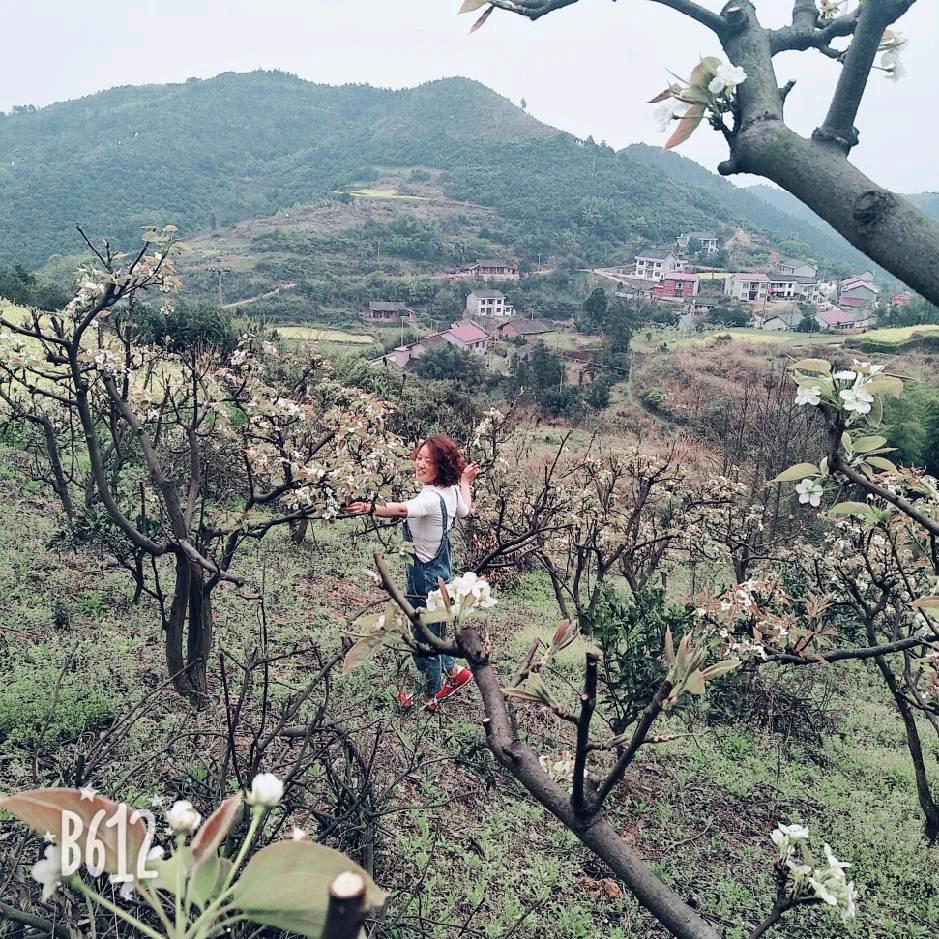 安妮