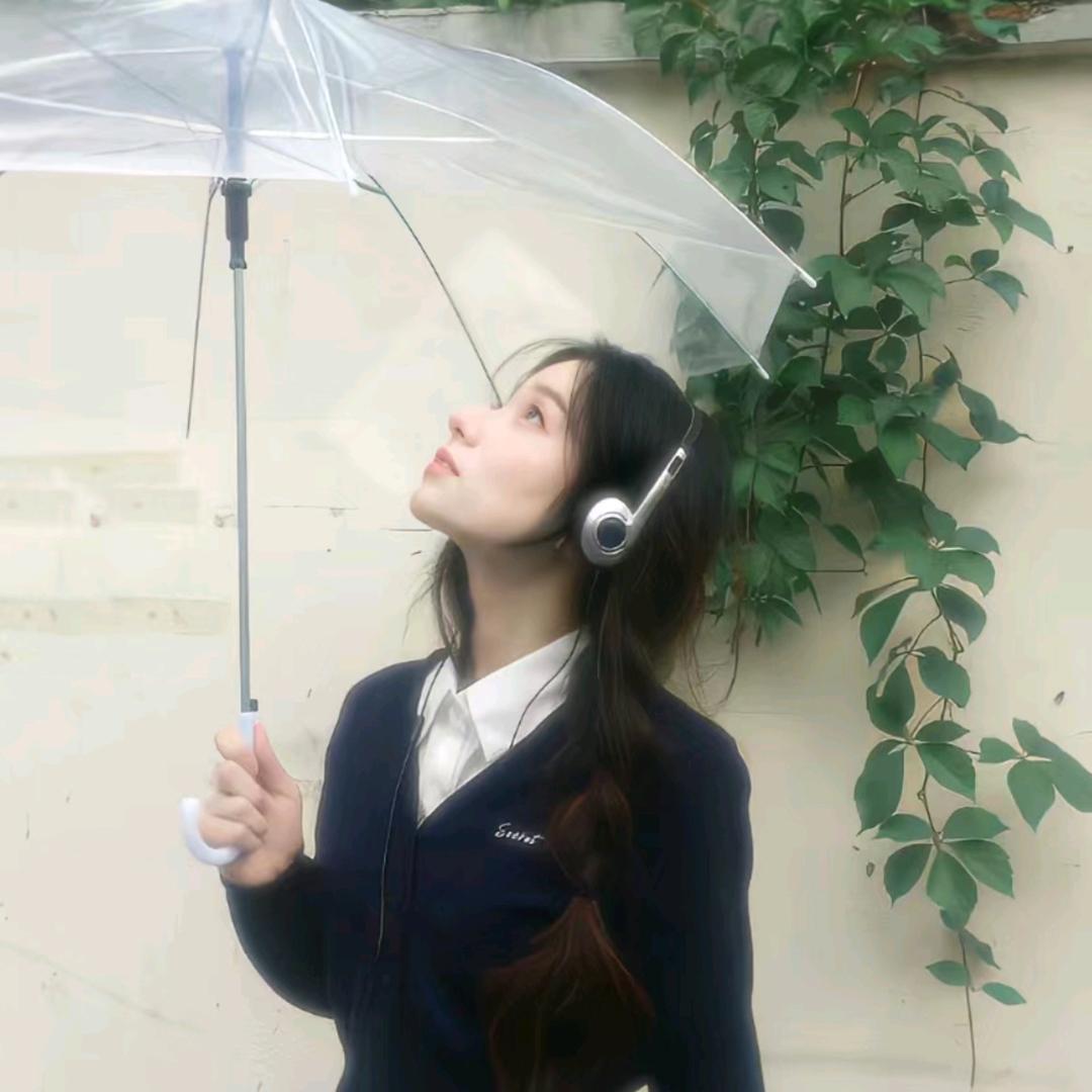 夏日漫游葵