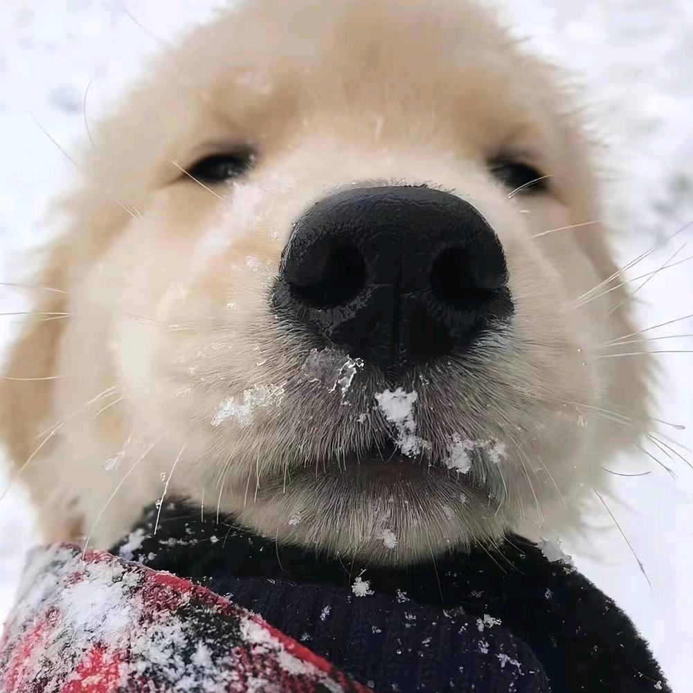 慧慧