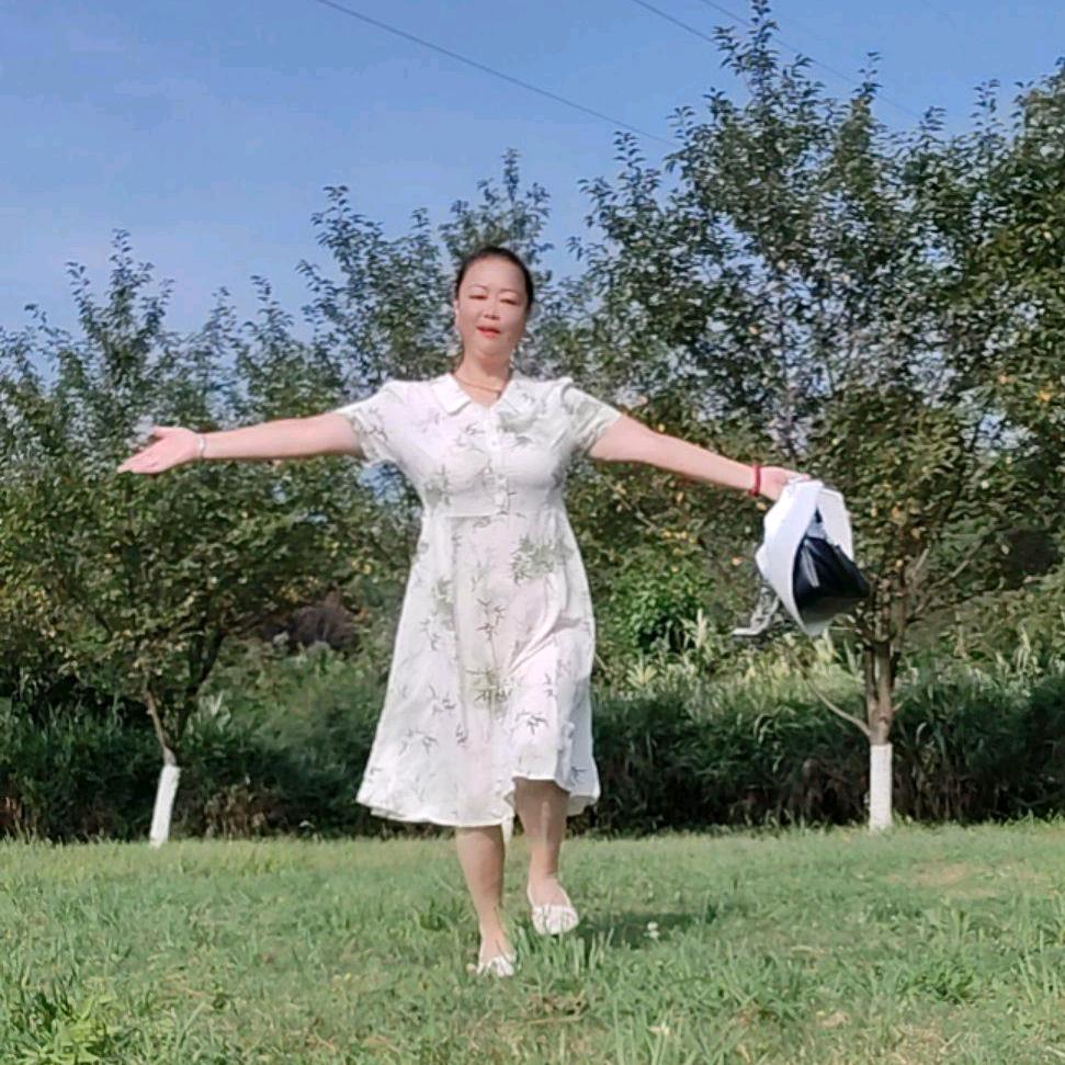 晚风轻拂💃