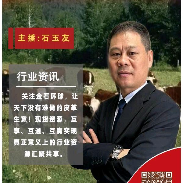 石玉友 金石环球原皮