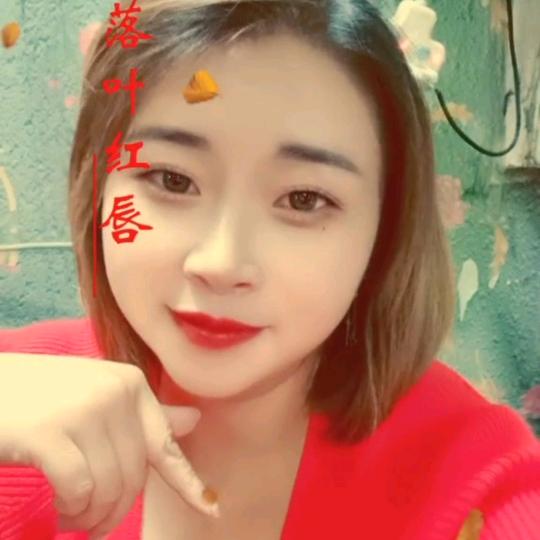 飞儿