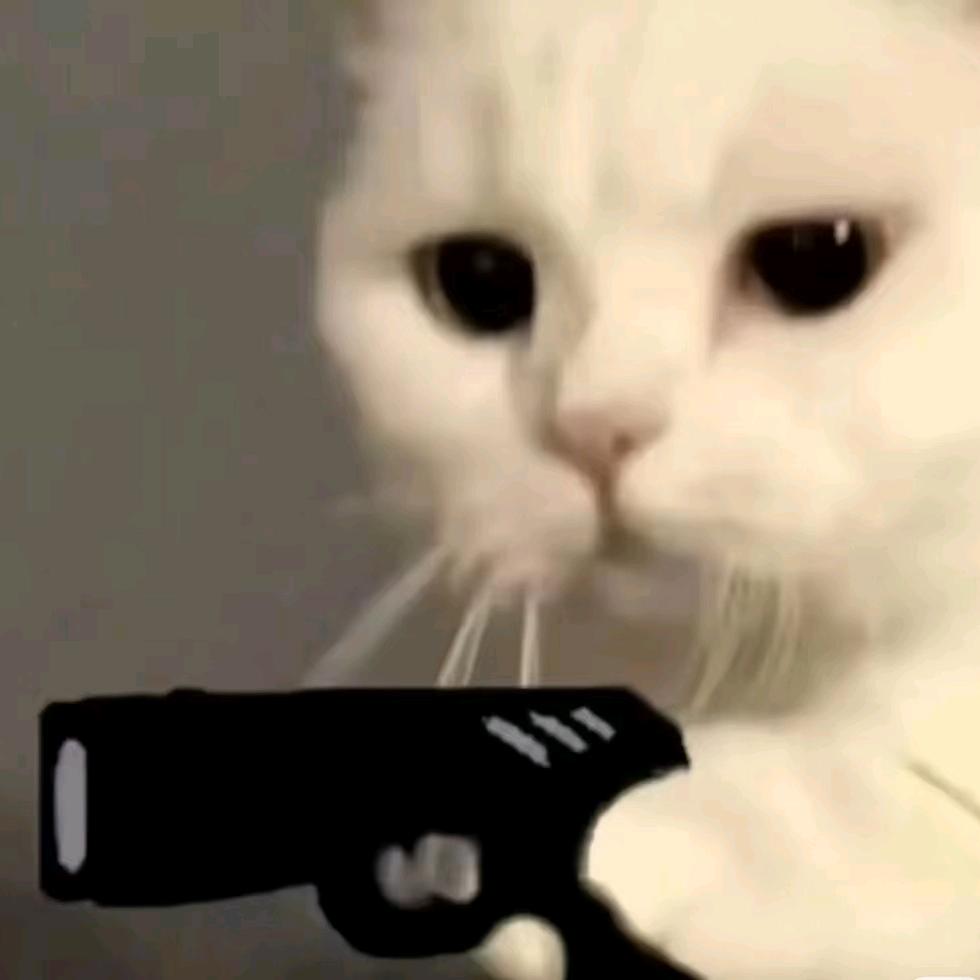猫头将军