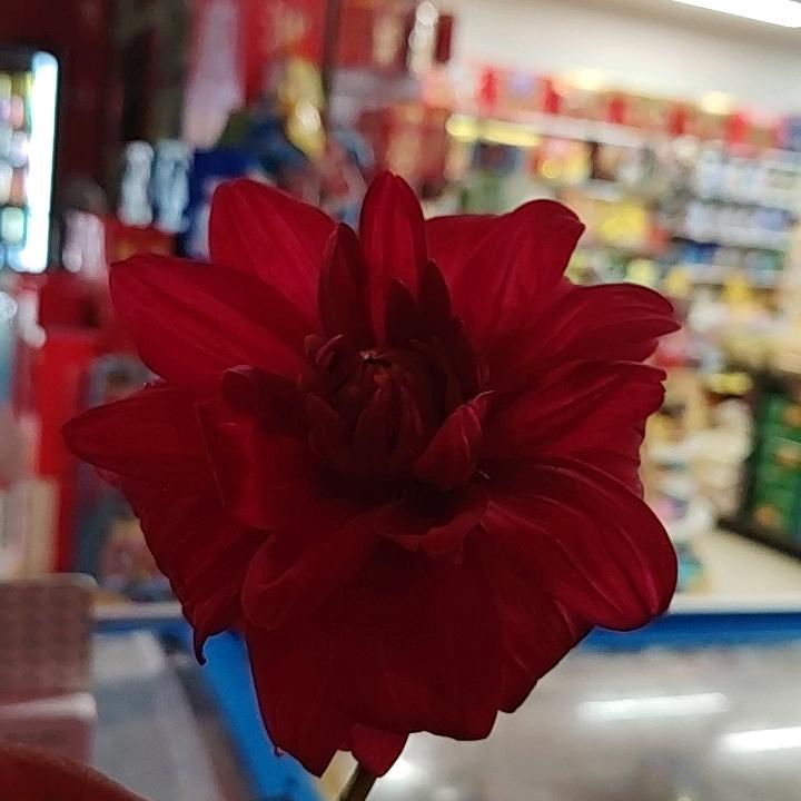 遇见你们真好
