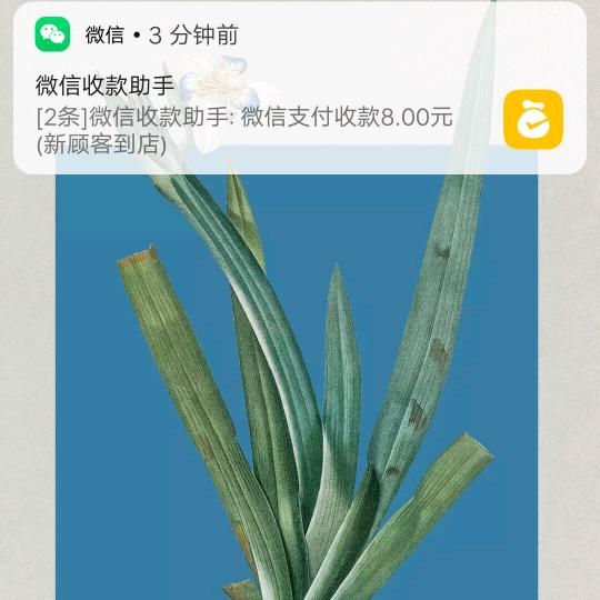 太天真了