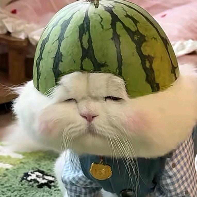 万紫千红总是春
