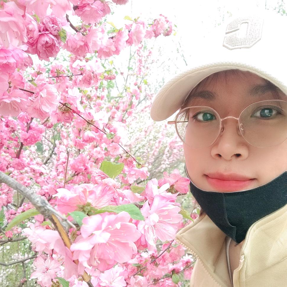 老张阿姨的生活碎片