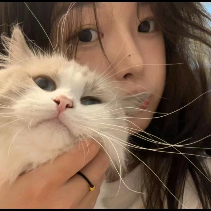 不吃芹菜.