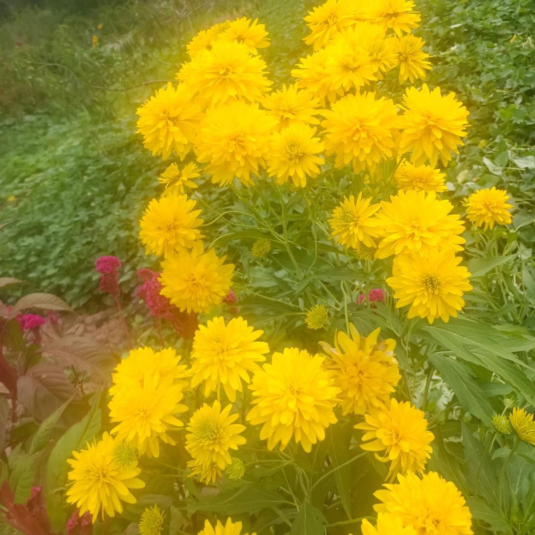 雨中漫步