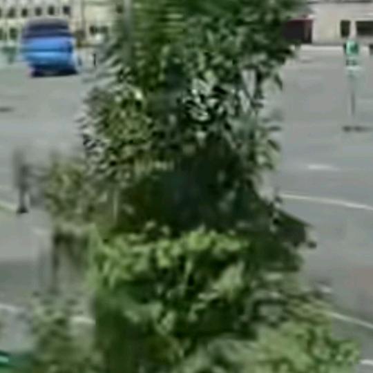 路上