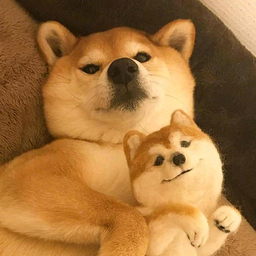 一点点。