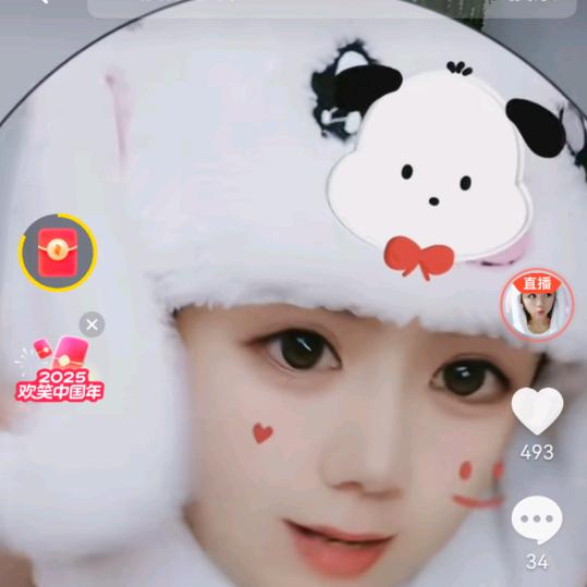 济宁小鸽棚