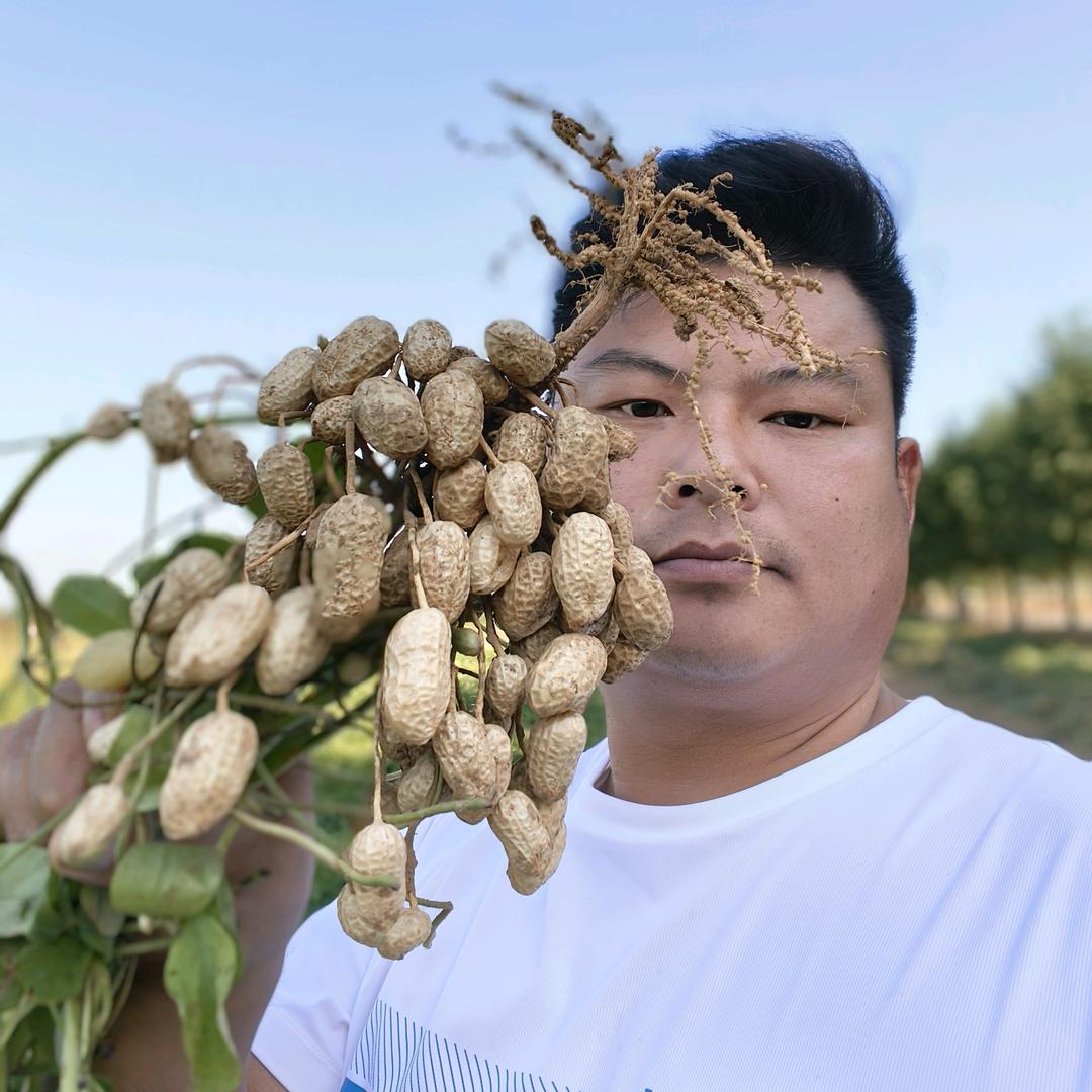 新农人王磊