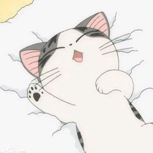 小奇猫