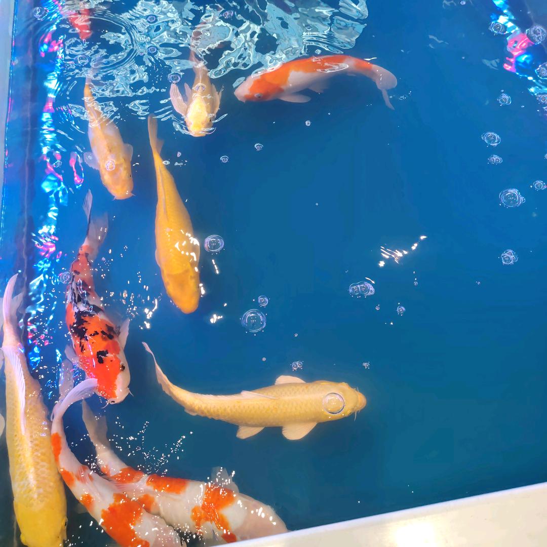 简单生活