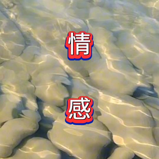 午夜长鸣