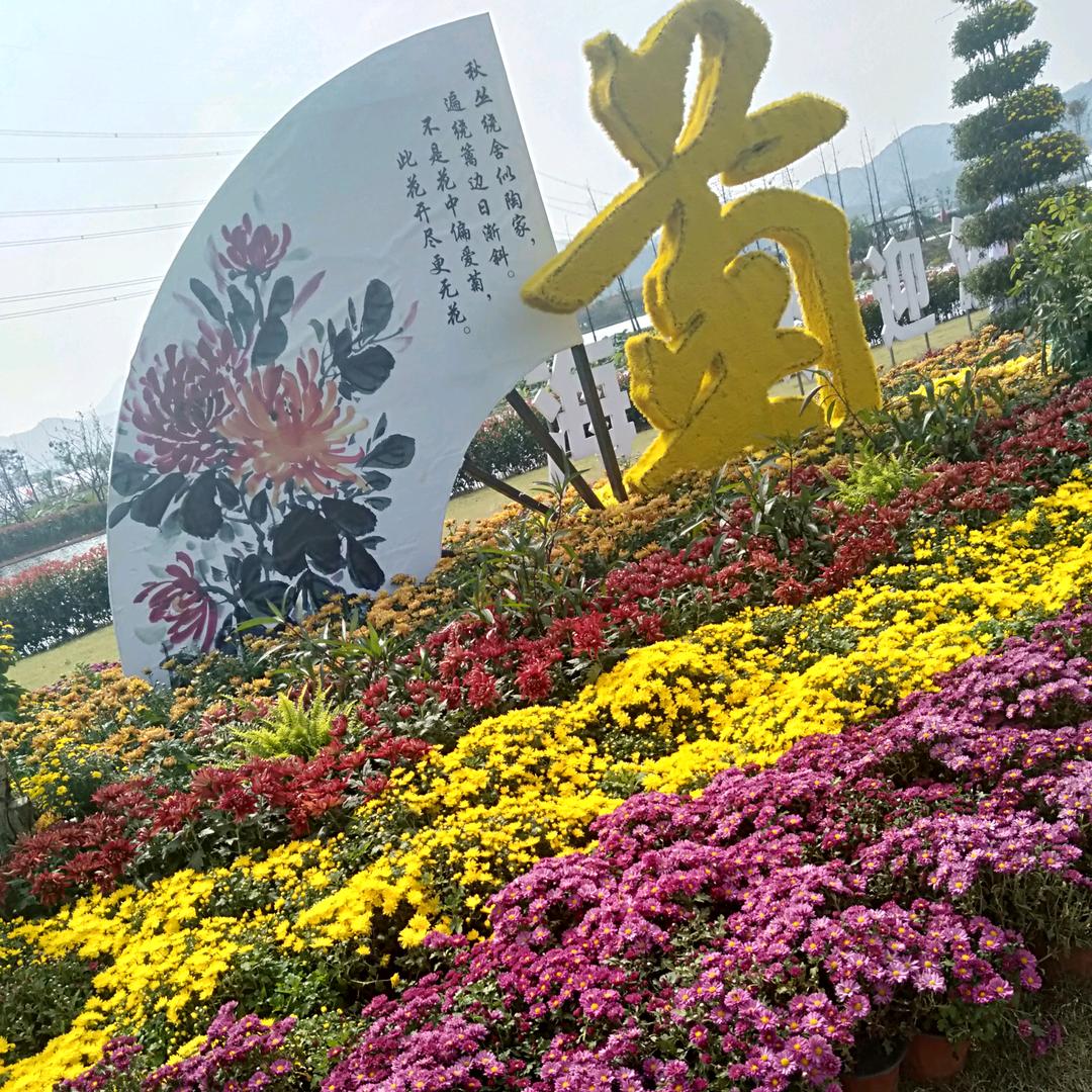 : 💕微笑前行᭄࿐[爱心