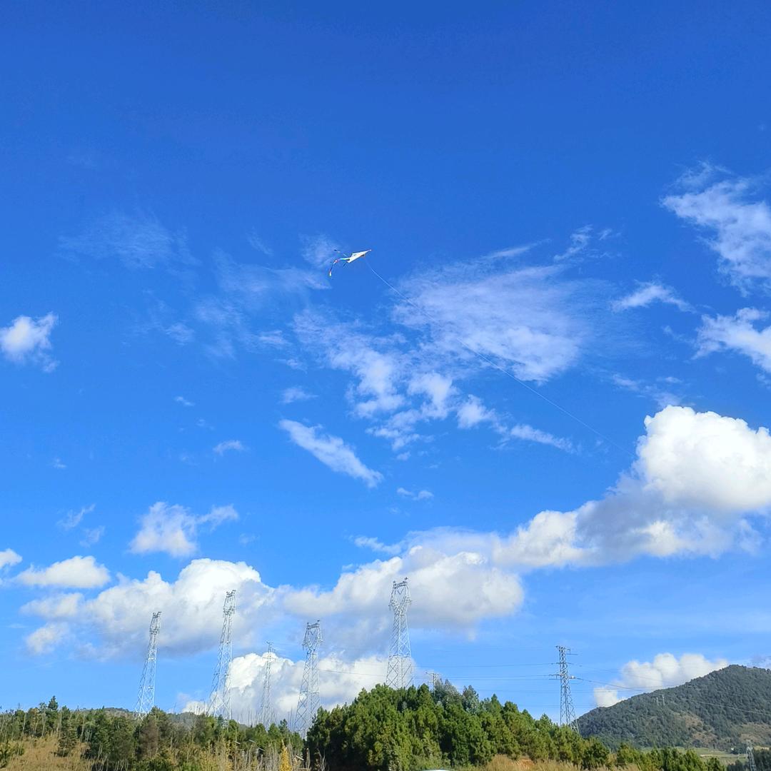 万物可爱