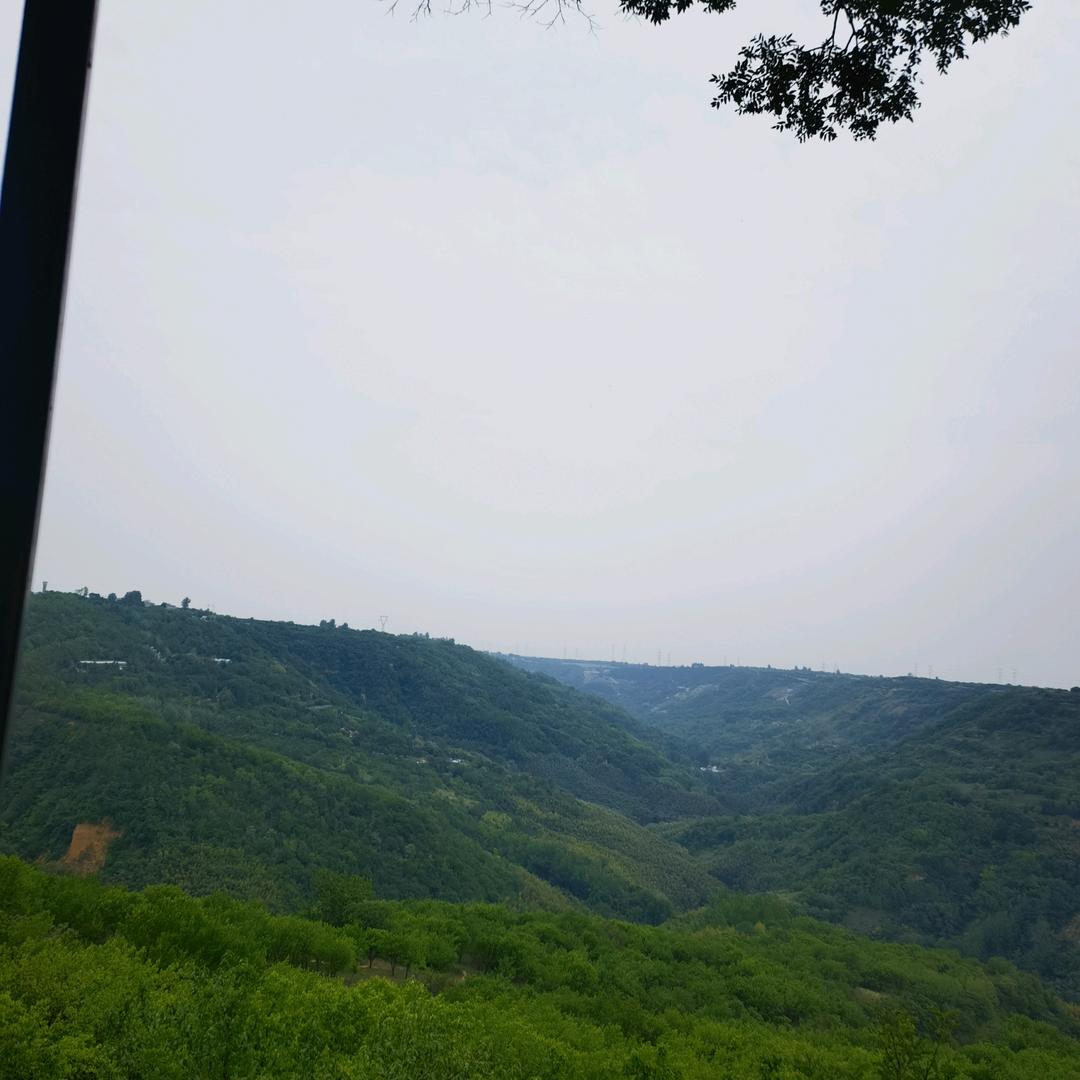 果儿（打榜）