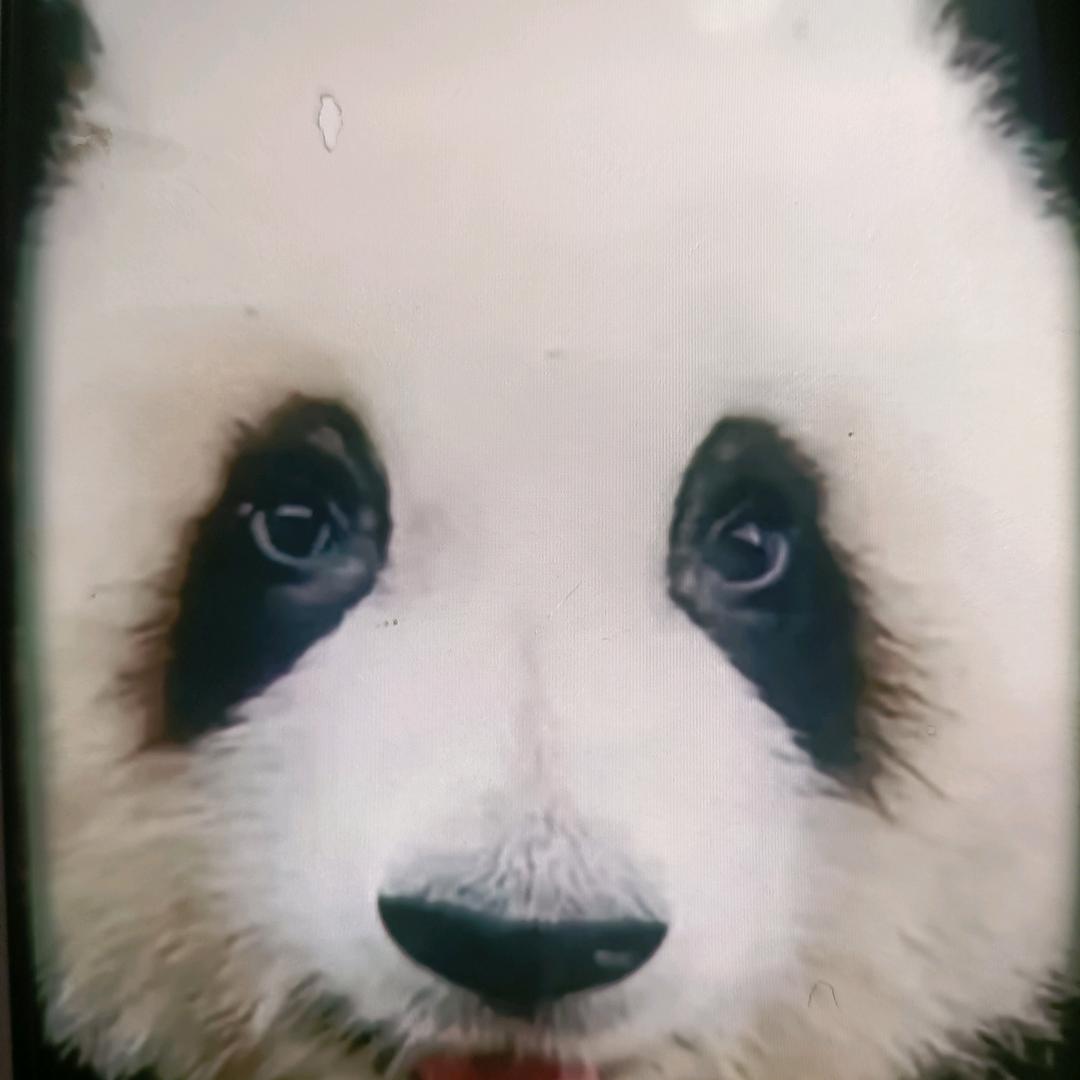 金坷垃