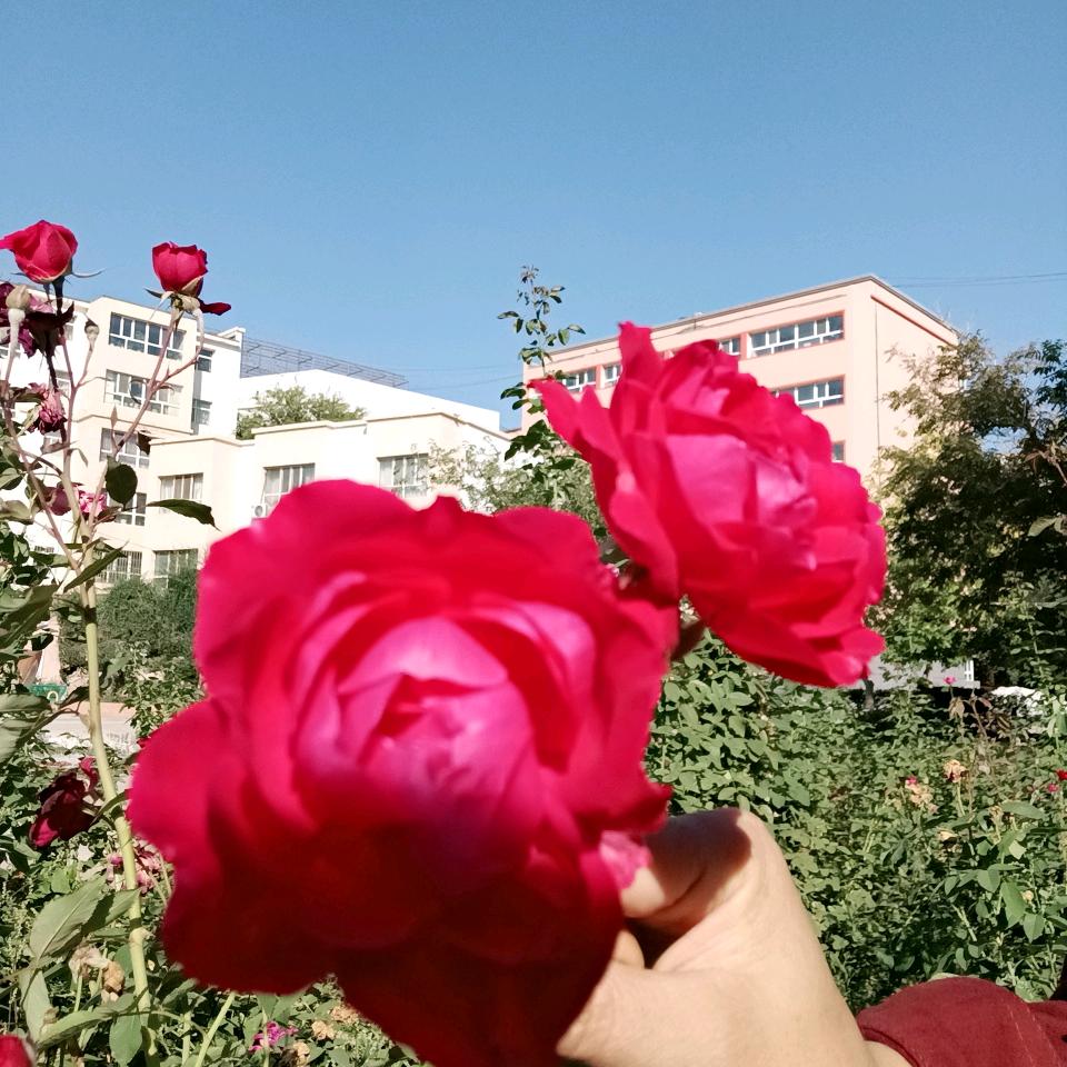 时光安然