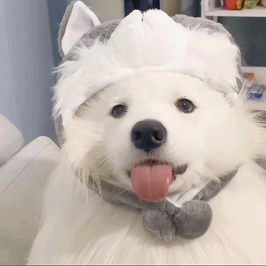 是小旭哟