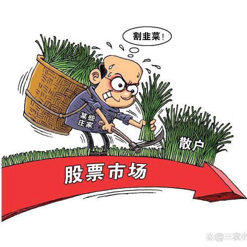 斗鸡哥