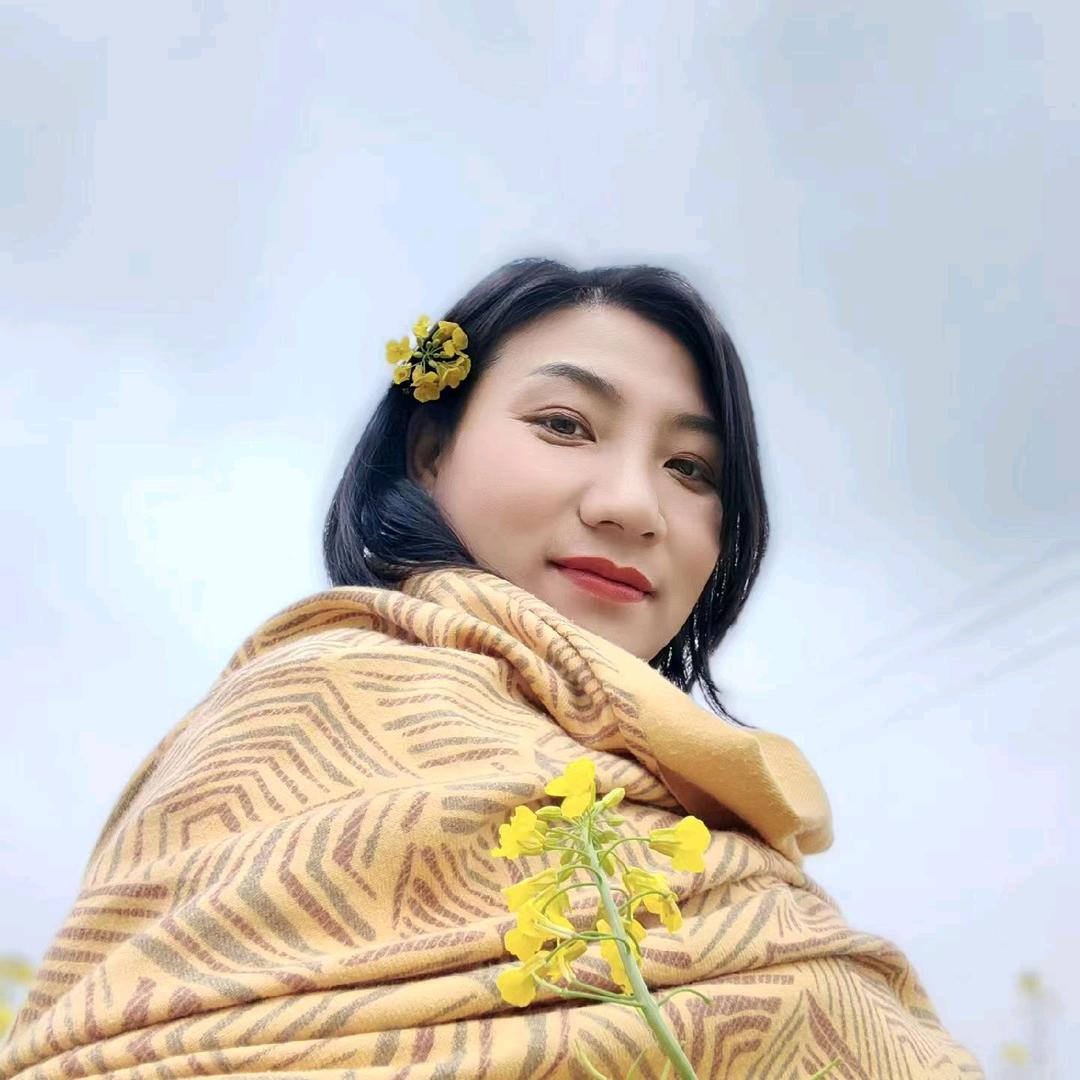 益知航众兴驾校苗总