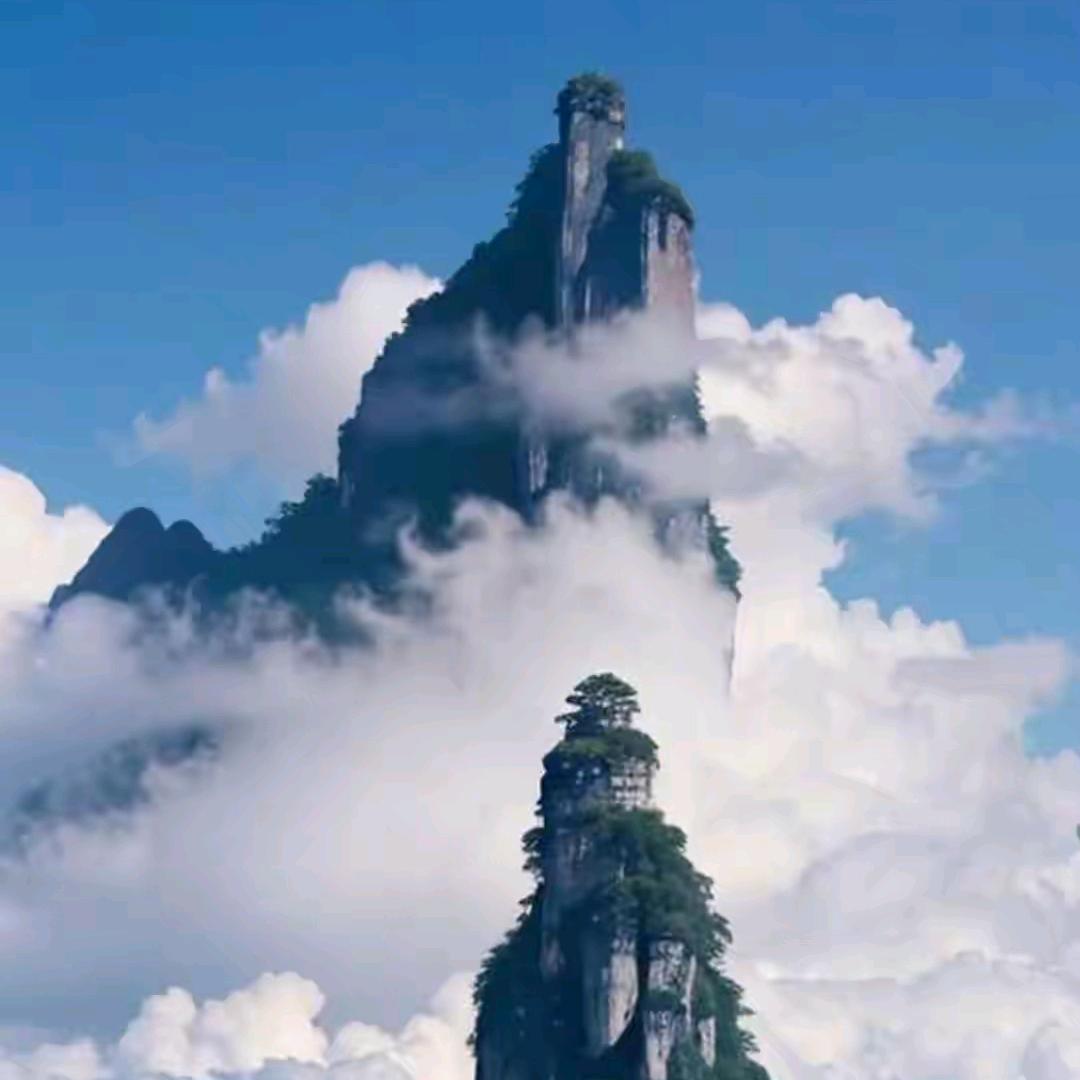 此号停用