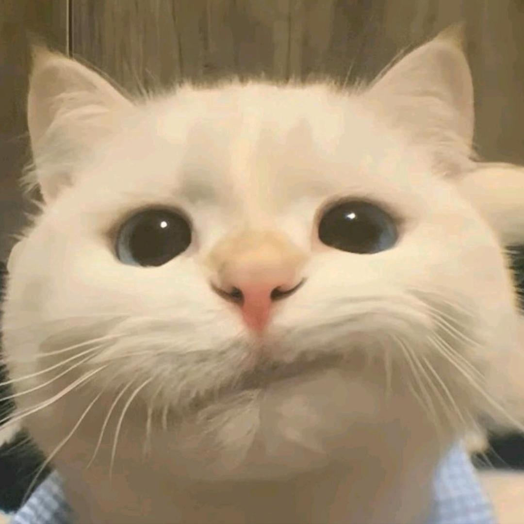 遗憾