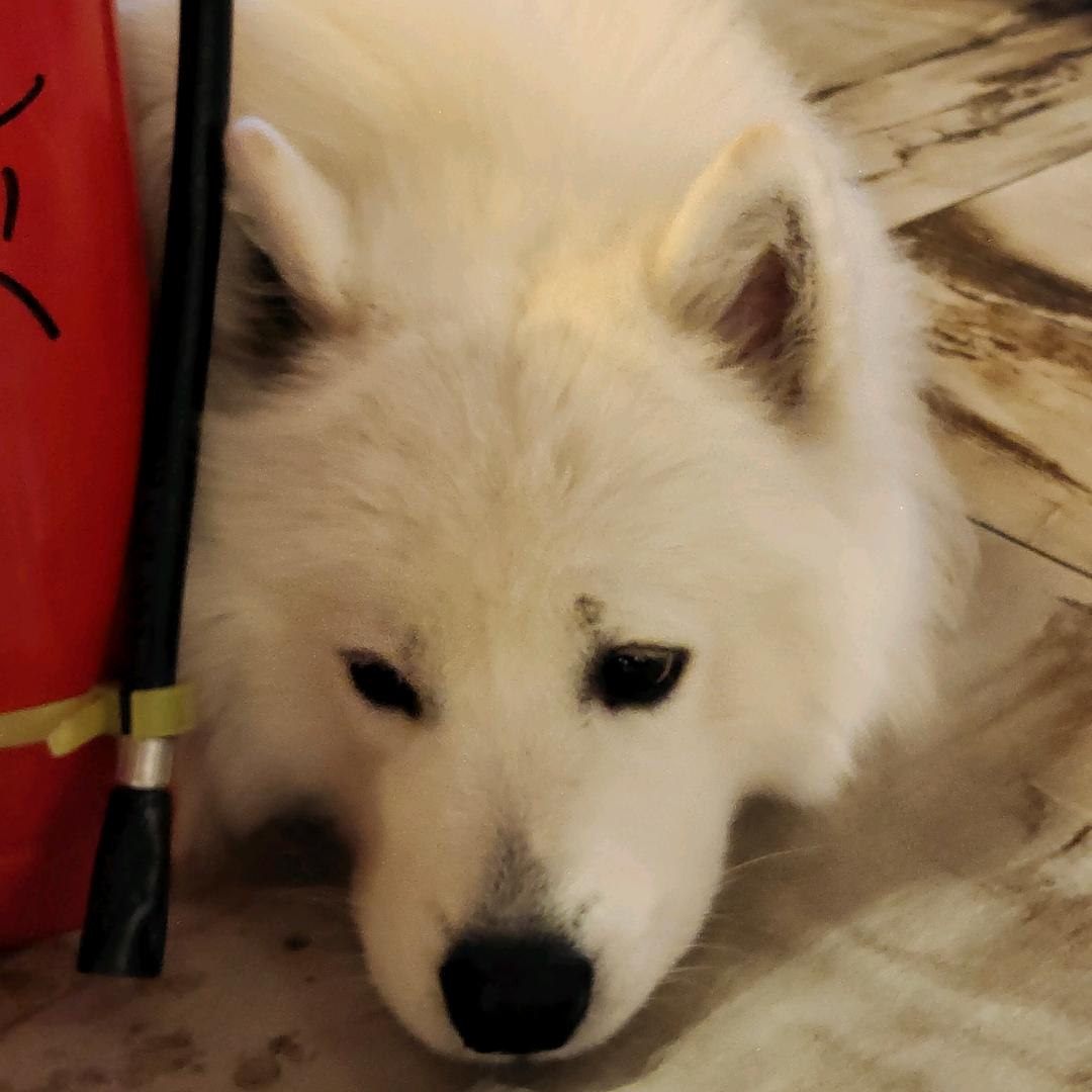 迷雾
