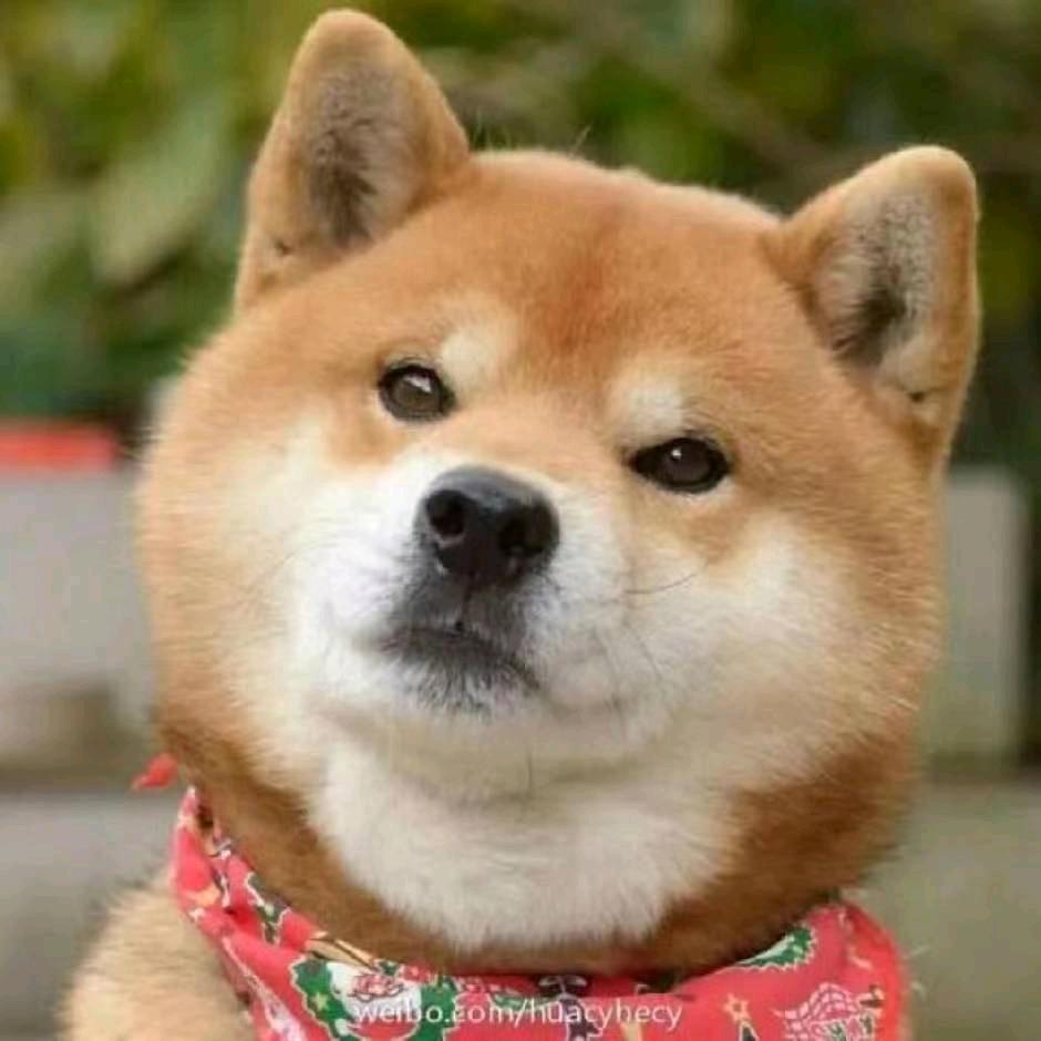 烟闪闪
