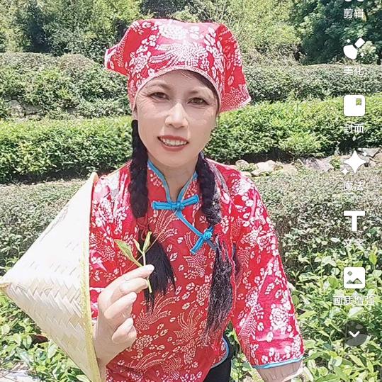 栖芳茶阁· 杭州龙井茶叶